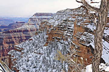 Grand Canyon Wall
