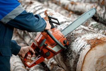 cutting logs with a chainsaw close-up.