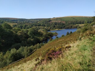 landscape in the mountains