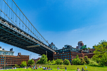View on green lawn, element of Manhattan Bridge and Two Trees building.