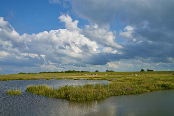 scenic clouds over the salt marshes at the nature experience path 