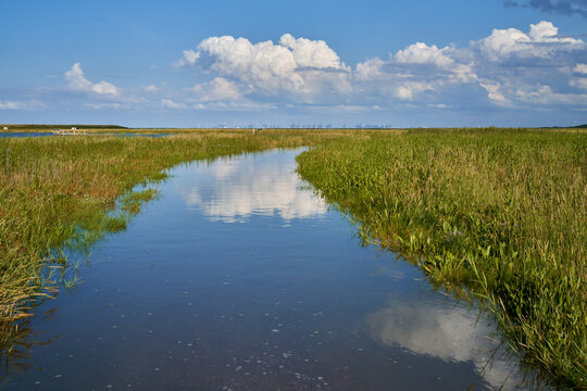 flooded footpath that looks like a ditch in the salt marshes of the nature discovery trail "Langwarder Groden" at the North Sea Coast in Germany - scenic white clouds and blue sky reflect in the water