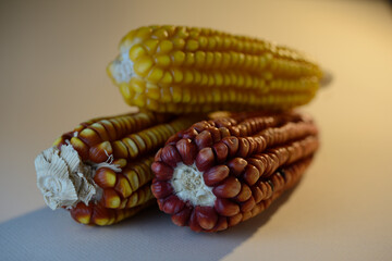 elotes criollos