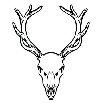 black and white illustration with deer skull object