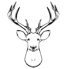 black and white illustration of a deer head
