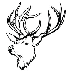 black and white illustration of a deer head