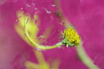 moments under the summer sun light