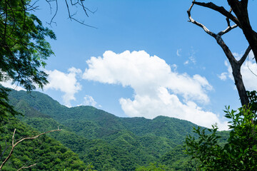 Obraz premium ecoturismo