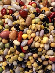 Colorful dried bean mixture rinsed and ready to cook