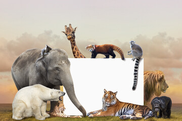 Group of wild animals photo frame