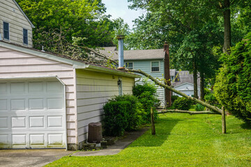 A fallen tree laying on the roof of a garage