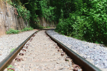 Obraz premium railway in the forest