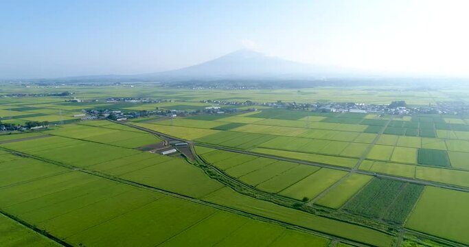 《青森県》津軽市　津軽平野の空撮
