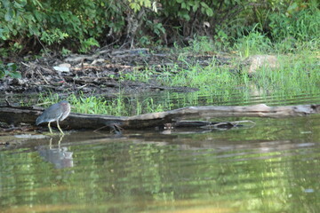 local parks and recreation were landscape and water/wildlife coexist to produce healthy ecosystem.
