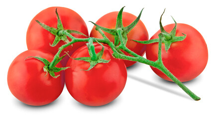 Tomato. Tomato branch. Tomatoes isolated on white. With clipping path. Full depth of field.