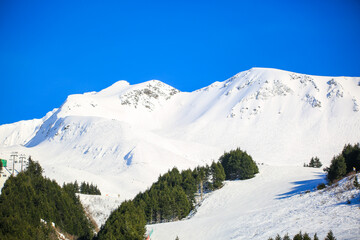  Ski Hill, Girdwood, Anchorage, Alaska