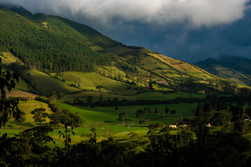 Golden hour in Nono Ecuador, landscape