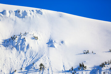 Ski Hill, Girdwood, Anchorage, Alaska