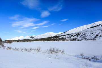 Kenai Peninsula, Alaska