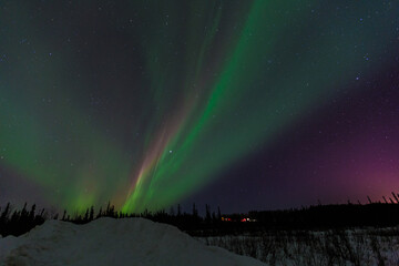 Northern lights,  Fairbanks, Alaska