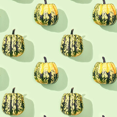 Seamless pattern from striped pumpkin with hard shadows on light green color paper. Autumn...