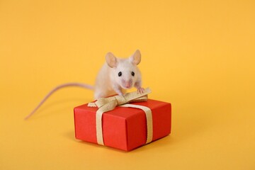 ネズミとプレゼントと山吹色の背景