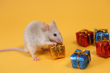ネズミとプレゼントと山吹色の背景
