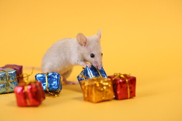 ネズミとプレゼントと山吹色の背景