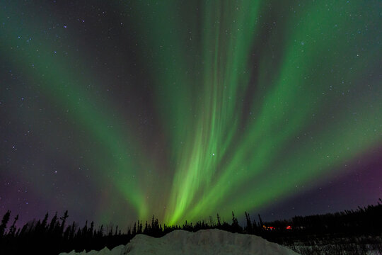 Aurora ( aurorae or auroras),northern lights (aurora borealis) or southern lights (aurora australis). natural light display in Earth's sky. Chena Hot Springs Rd, Fairbanks, Alaska. Winter / March	