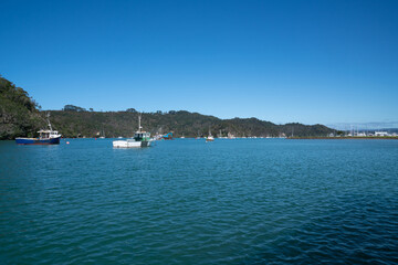 Whitianga harbour scene