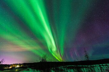 Northern lights,  Fairbanks, Alaska