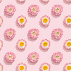 Flowers composition. Seamless pattern of dried flowers on soft pink. Floral design pattern.
