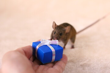 ネズミとプレゼント