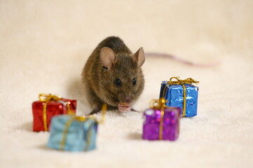 ネズミとプレゼント