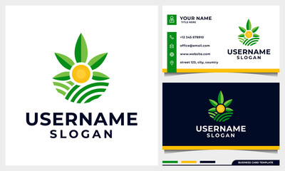 Agriculture with Cannabis leaf and sun concept  logo design with business card template