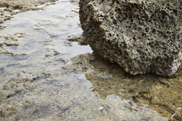 Rocky coral alongside the sea shore, have a look at the texture thereon, isn't nature really pretty beautiful.
