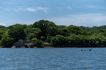 Beautiful view of the San Lucas national park dock -pier- in Costa Rica