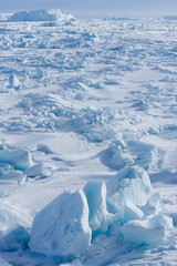 Fototapeta na wymiar Sea Ice, Antarctic Peninsula