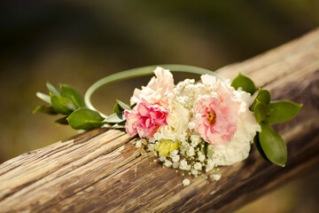 pink and white flowers