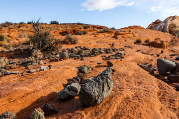 Rocks along the canyon floor