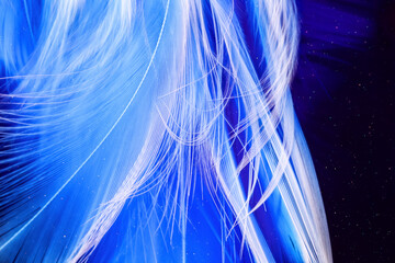 Macro photo of white macro feathers on dark deep background underwater with sparkles