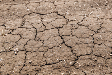 Dried cracked earth soil ground texture background. 