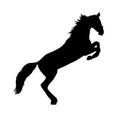 Fototapeta na wymiar Standing Horse (Equus Caballus) On a Side View Silhouette Found In All Around The World. Good To Use For Element Print Book, Animal Book and Animal Content
