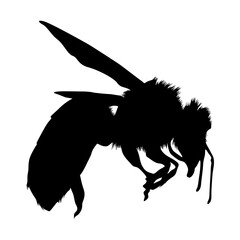 Flying Honey Bee (Apis) On a Side View Silhouette Found In All Around The World. Good To Use For Element Print Book, Animal Book and Animal Content