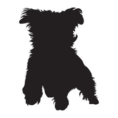 Havanese Dog Jumping On a Front View Silhouette Found In Map Of Europe