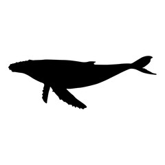 Swimming Humpback Whale (Megaptera Novaeangliae) On a Side View Silhouette Found In Oceans Worldwide. Good To Use For Element Print Book, Animal Book and Animal Content
