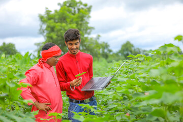 Naklejka na ściany i meble Young Indian farmer with agronomist at Cotton field , showing some information in laptop