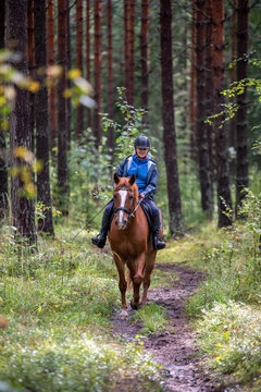 Woman horseback riding in the forest