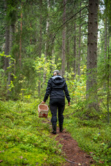 Obraz premium Woman picking berries and mushrooms in the forest on a rainy autumn day