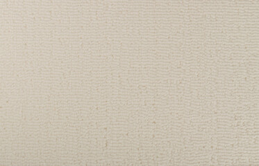 White Carpet Texture Background, Nylon Carpeting Pattern